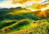 Signs You’re Experiencing a Spiritual Awakening